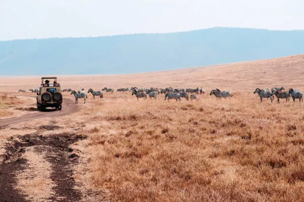 Tanzania Group Joining Safaris