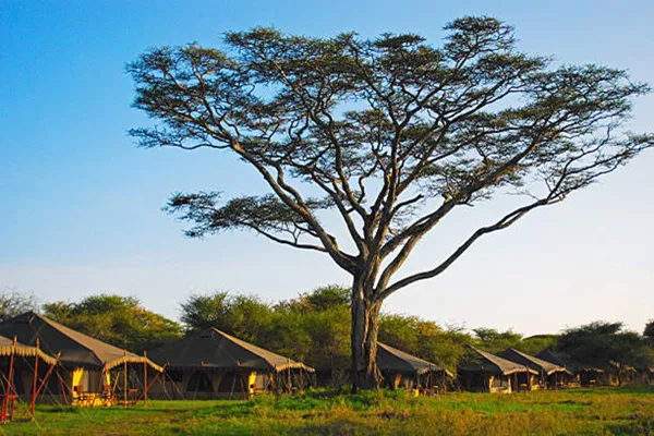 3-Day Tanzania Private Safari Tour Package