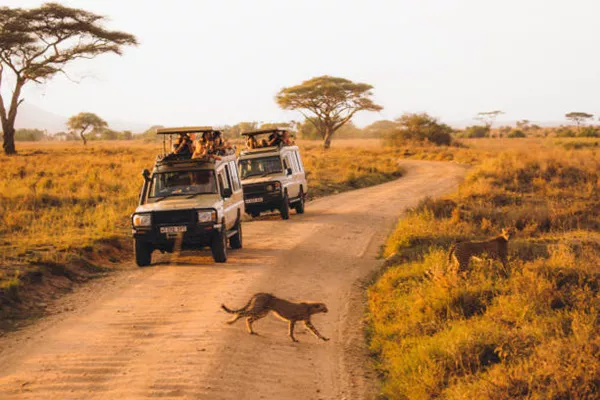 3-Day Tanzania Sharing Safari Package