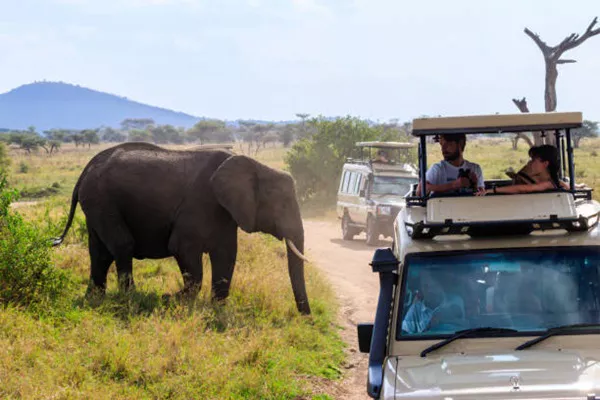 5-Day Tanzania Sharing Safari Package